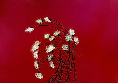 White Flowers on Red