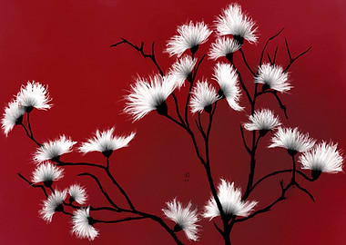 Red & White Floral Art