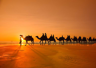 Camel Silhouette Sunset