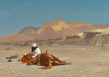 Arabian Horseman