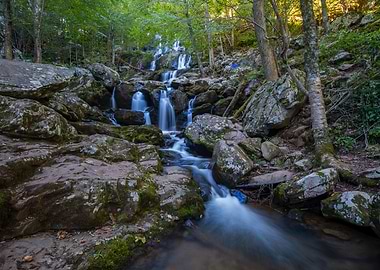 Waterfall in Forest
