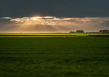 Sunset Over Green Fields