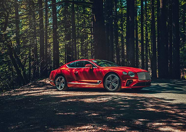 Red Bentley in Forest