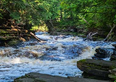 Rushing River in Forest