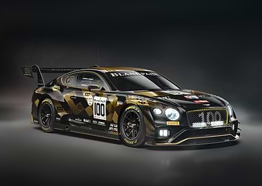 Bentley Continental GT3 Race Car