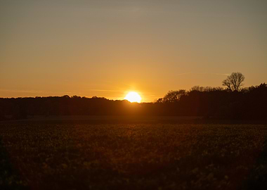 Sunset Over Field