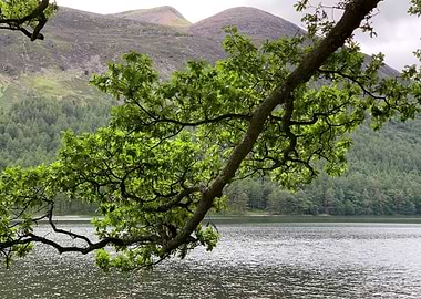 Lakeside Mountain View