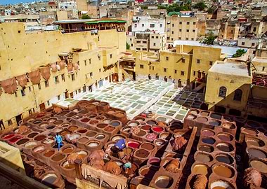 Leather Tannery in Morocco