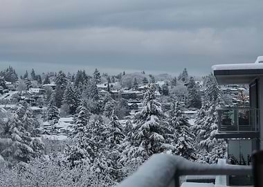 Snowy Winter Landscape in Vancouver