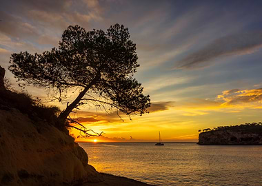 Sunset Seascape with Sailboat