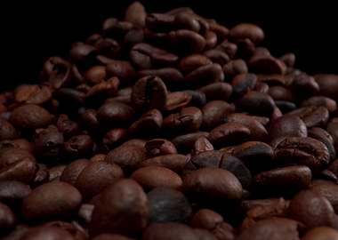 Coffee Beans Close-Up