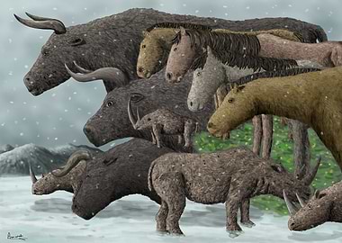 Animals of the Chauvet Cave