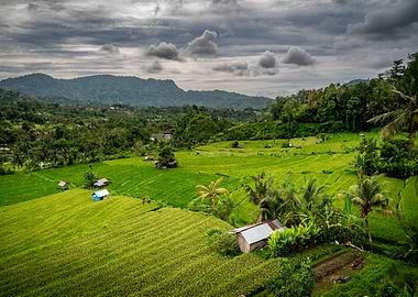 Cloudy rice terraces landscape