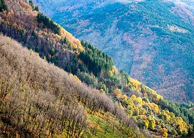 Autumn Mountain Landscape