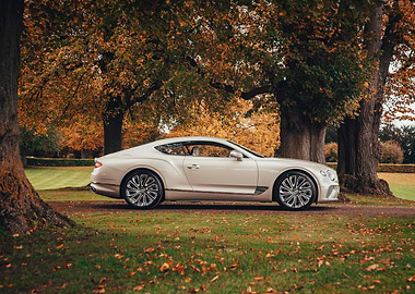 White Bentley Continental GT