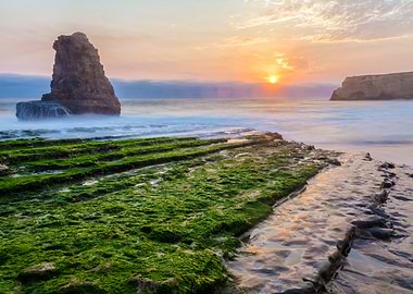 Sunset Coastline with Seaweed