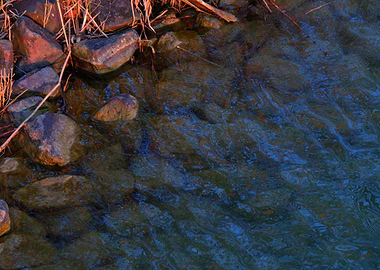 Stream Flowing Over Rocks