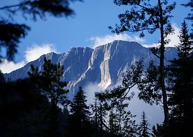Mountain Peak Through Trees