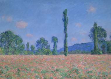 Poppy Field Landscape