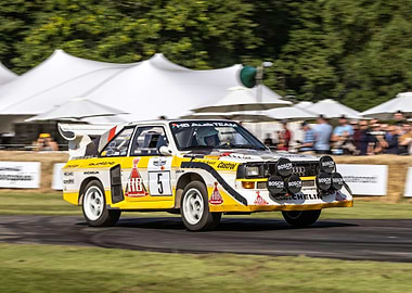 Audi Quattro Rally Car