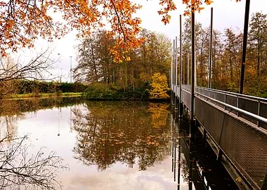 Autumn Bridge Over Pond