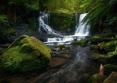 Waterfall in Lush Forest