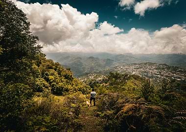 Mountaintop View with Dog