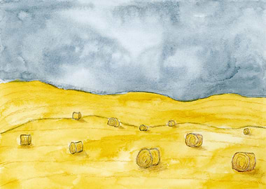 Harvest Hay Bales Under Cloudy Sky