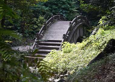 Japanese Bridge in Lush Garden
