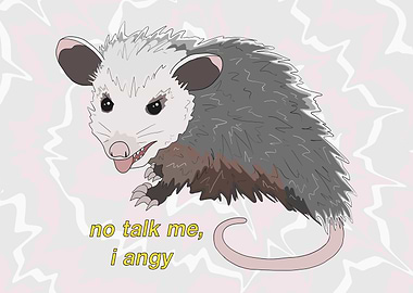 No Talk Me, I Angy - Angry Baby Opossum Meme