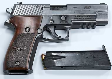 Sig Sauer P226 Handgun