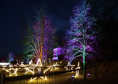 Illuminated Stars in Garden