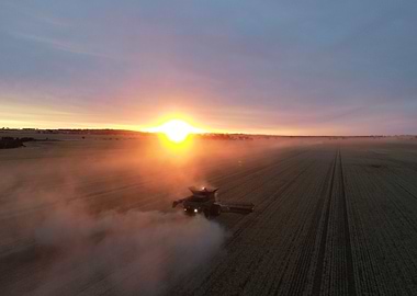 Combine Harvester at Sunset