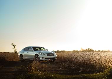 White Infinity in the field