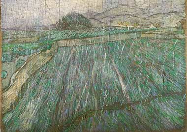 Rain over Wheat Field