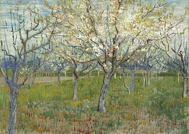 Blooming Orchard