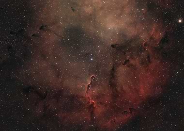 Elephant Trunk Nebula