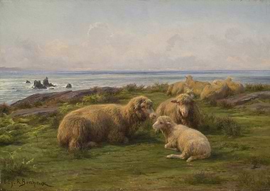 Sheep by the Sea