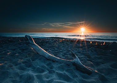 Sunset Beach Driftwood