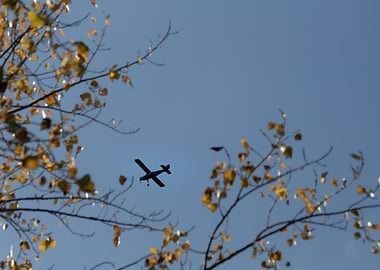 Small Plane in Blue Sky