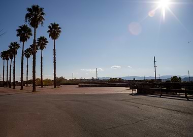 Palm Trees and Sunny Sky