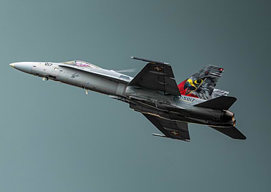 Swiss Air Force F/A-18