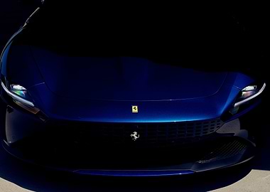 Ferrari Front Grille