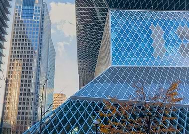 Modern Library Architecture