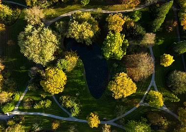 Drone shot of a small park