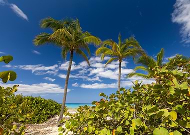 Tropical Beach Paradise, Cuba,