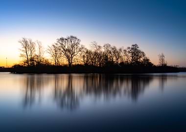 Silhouetted Trees at Sunset