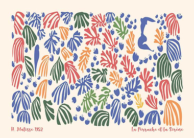 Henri Matisse La Perruche Organic
