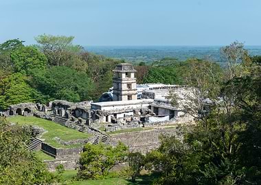 Mayan Ruins in Jungle