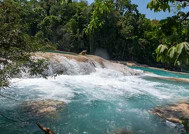 Waterfall in Lush Jungle